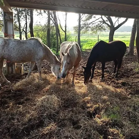 Σπίτι διακοπών Rural Environment House Costa Brava